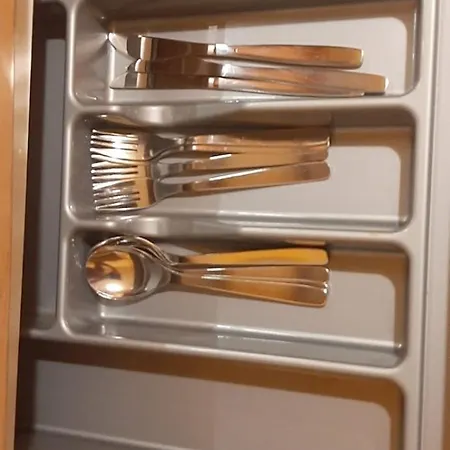 Auru Flat Διαμέρισμα *
